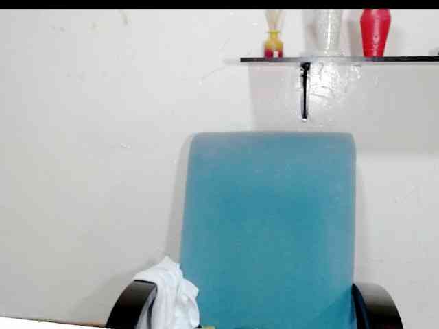 Totalslave webcam