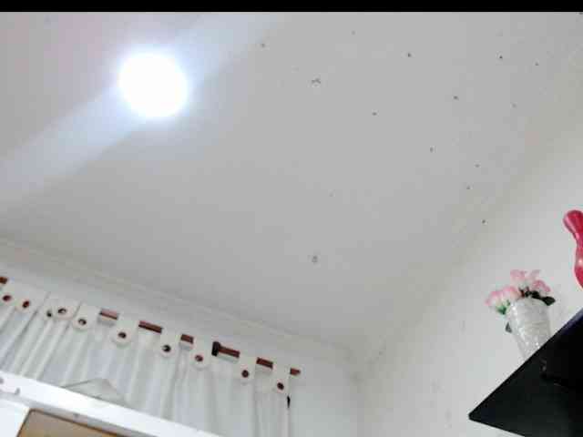 Totalslave webcam