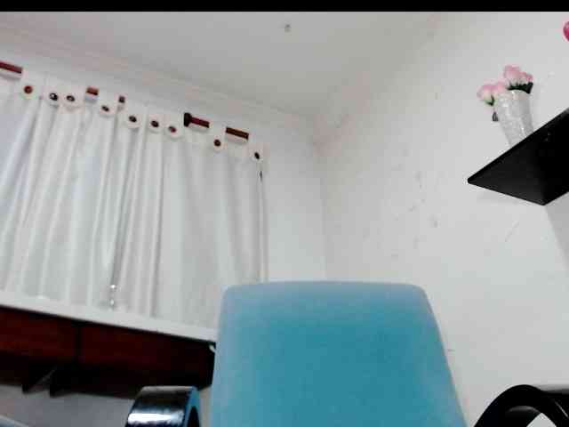 Totalslave webcam