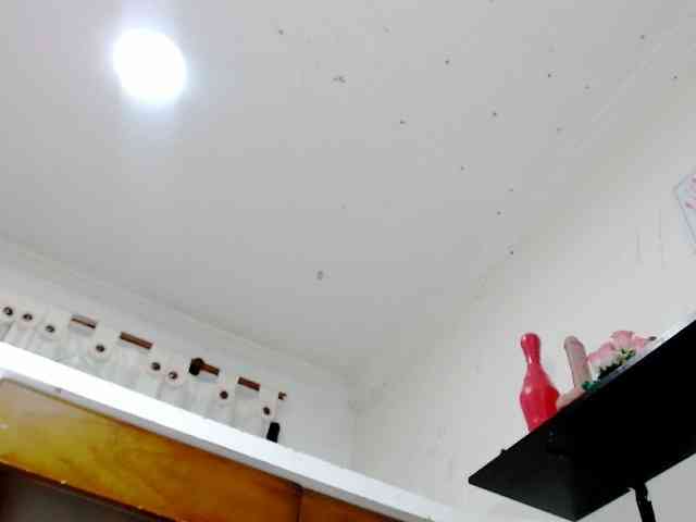 Totalslave webcam