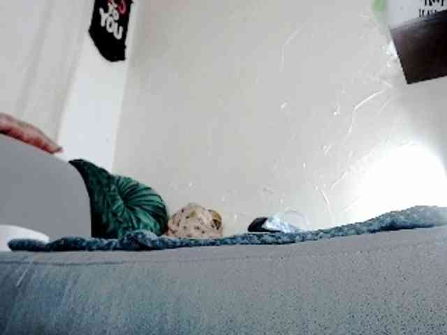 Totalslave webcam