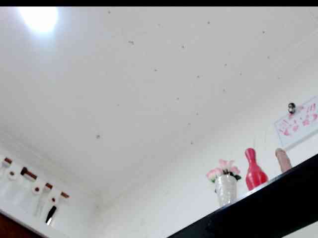 Totalslave webcam
