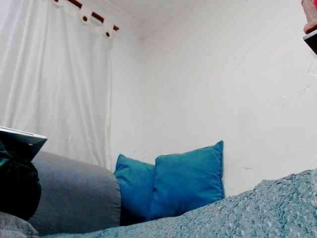 Totalslave webcam