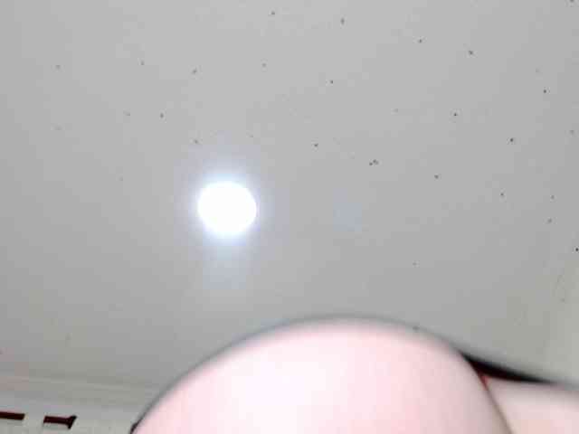 Totalslave webcam
