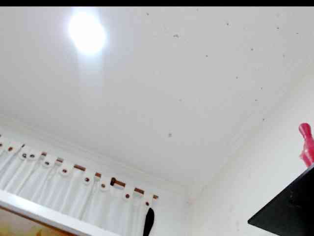 Totalslave webcam