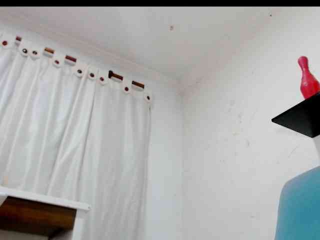 Totalslave webcam