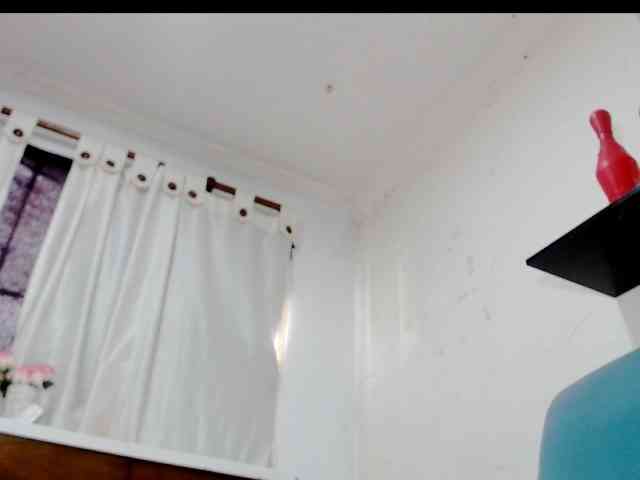 Totalslave webcam