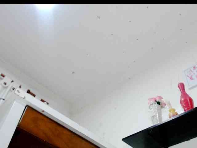 Totalslave webcam