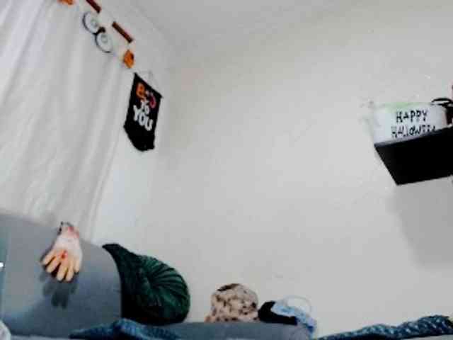 Totalslave webcam