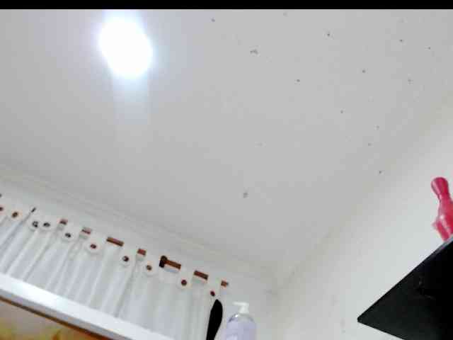Totalslave webcam