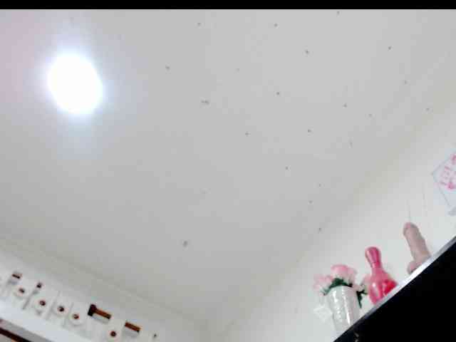 Totalslave webcam