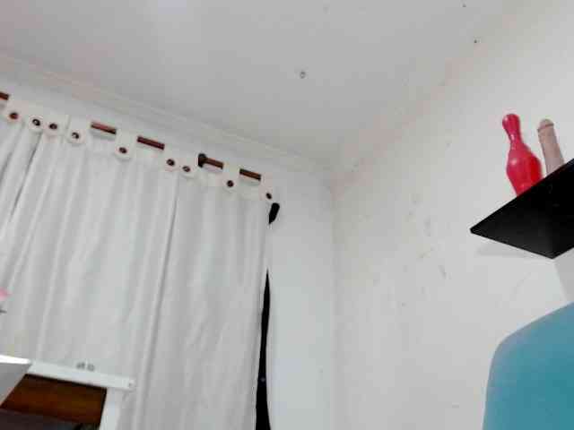 Totalslave webcam