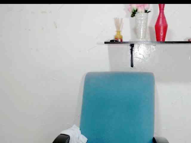 Totalslave webcam