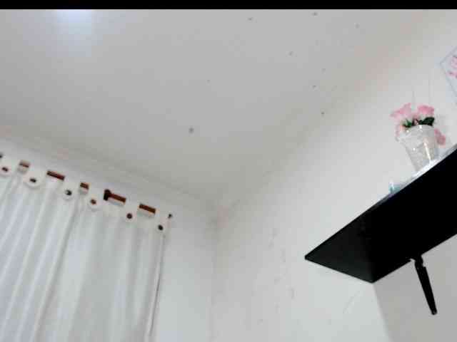 Totalslave webcam