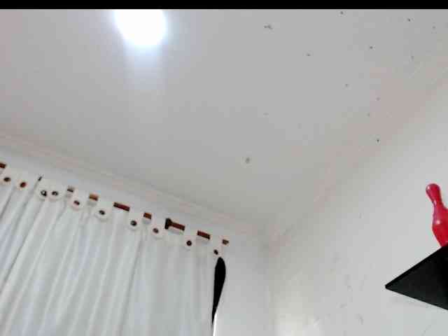Totalslave webcam