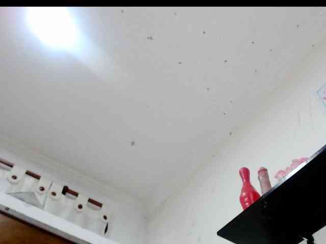 Totalslave webcam