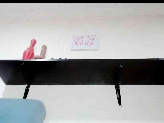 Totalslave webcam