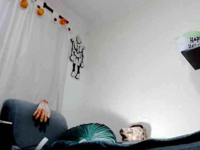 Totalslave webcam