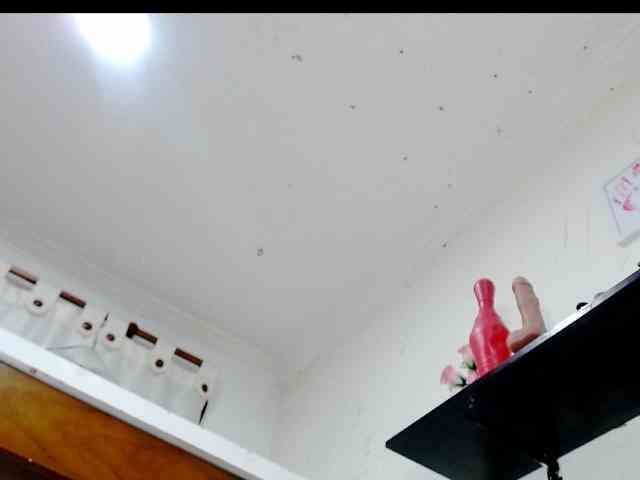 Totalslave webcam
