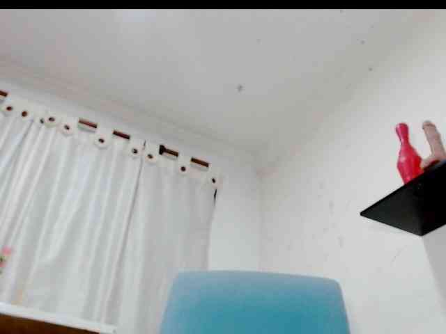Totalslave webcam