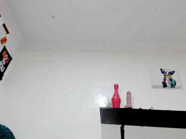 Totalslave webcam