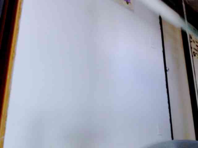 Totalslave webcam