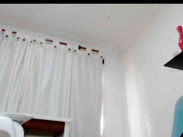 Totalslave webcam