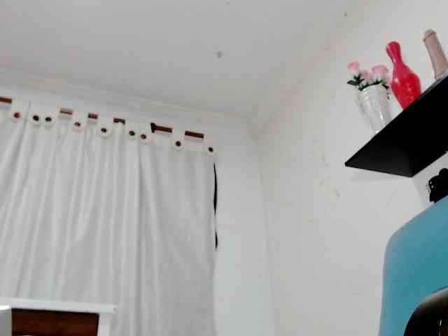 Totalslave webcam