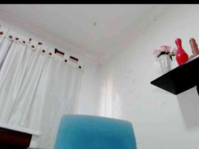 Totalslave webcam