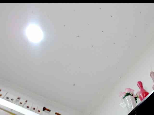 Totalslave webcam