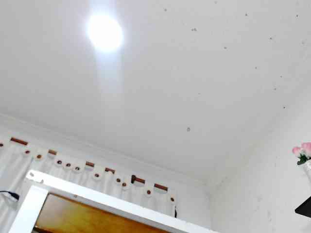 Totalslave webcam