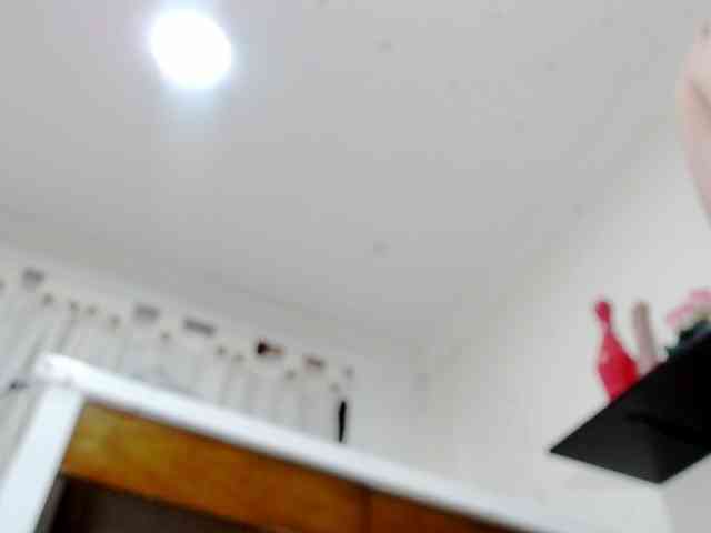 Totalslave webcam