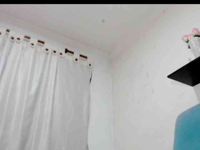 Totalslave webcam