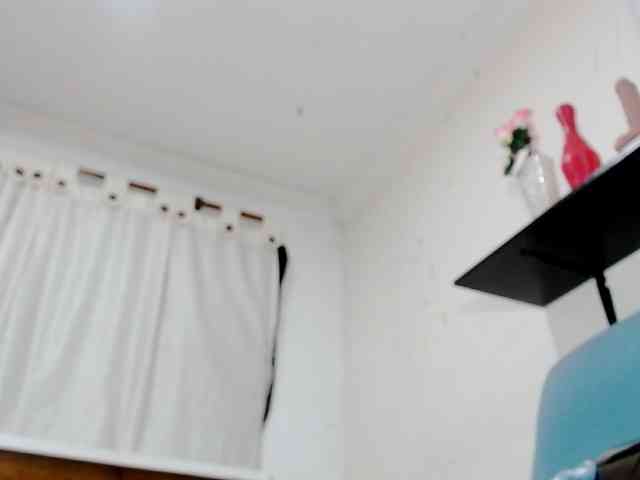 Totalslave webcam