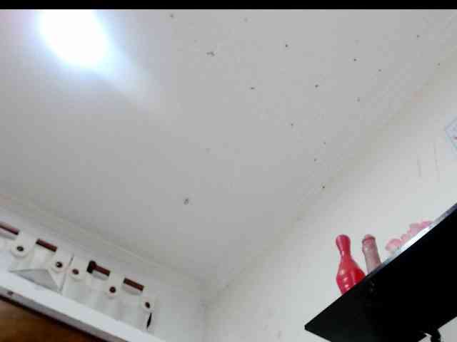 Totalslave webcam