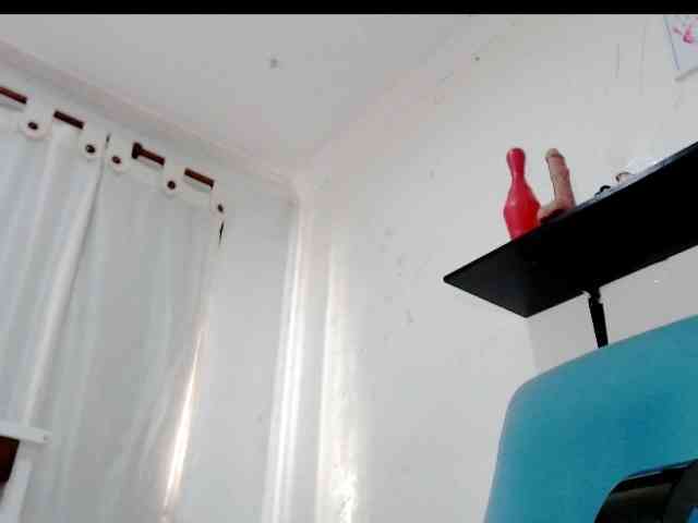 Totalslave webcam