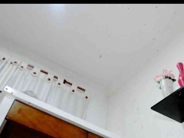 Totalslave webcam