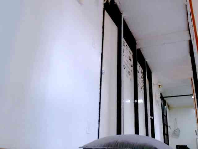 Totalslave webcam