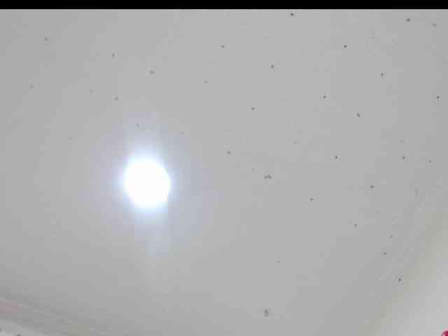 Totalslave webcam