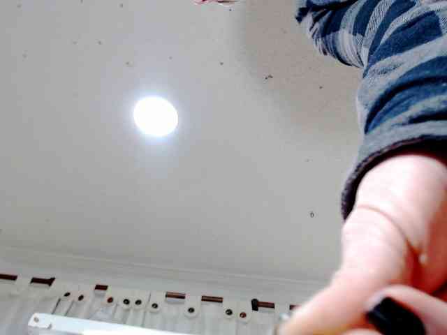 Totalslave webcam