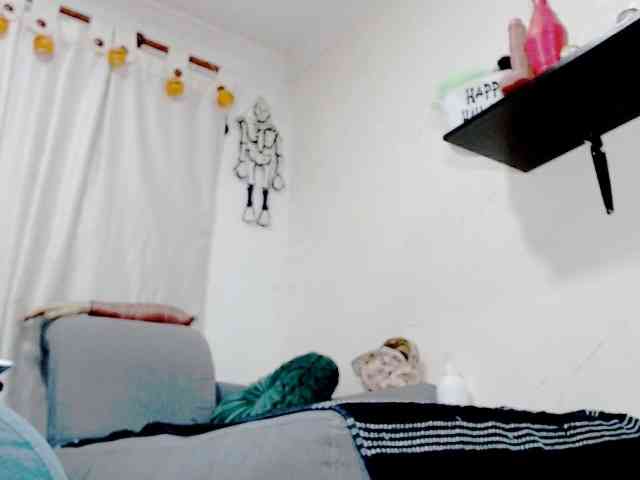 Totalslave webcam