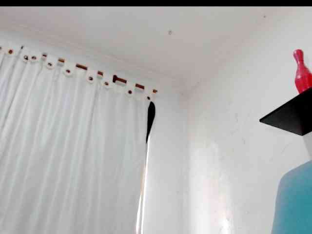 Totalslave webcam