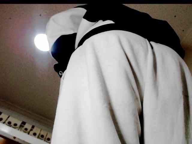 Totalslave webcam