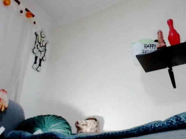 Totalslave webcam