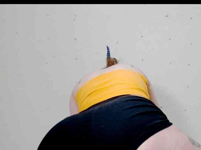 Totalslave webcam