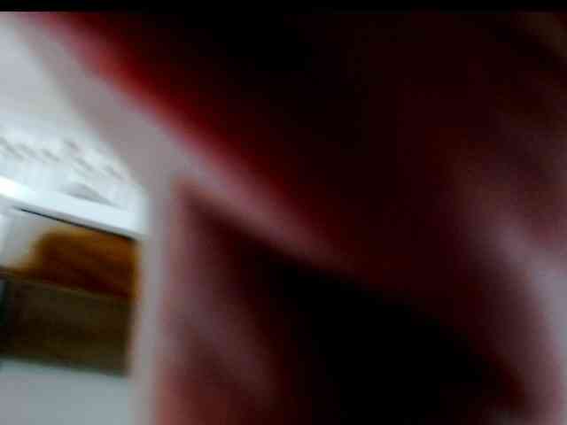 Totalslave webcam