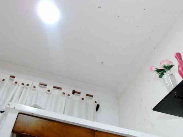 Totalslave webcam