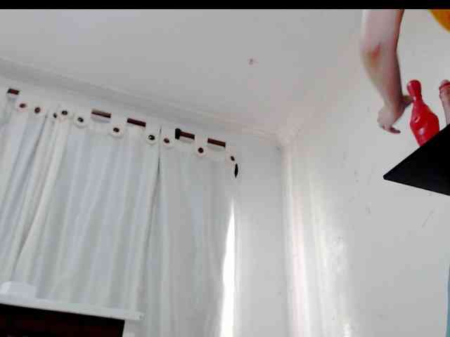 Totalslave webcam