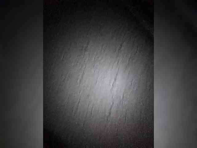 Antipidorr webcam