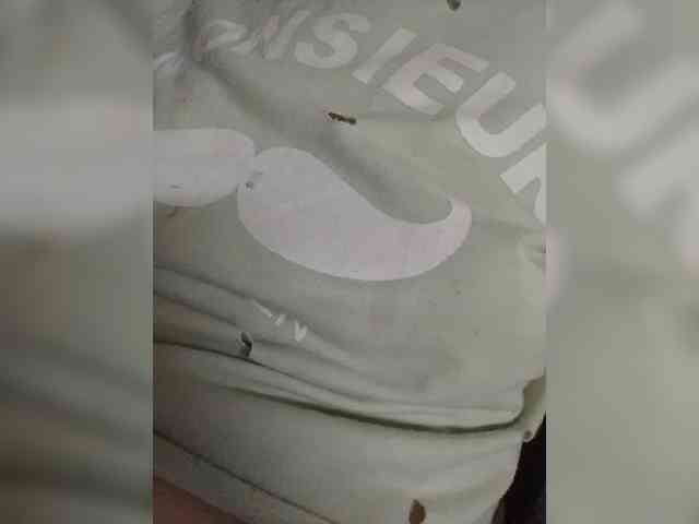 Elena19962 webcam